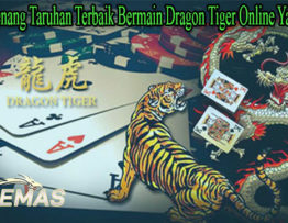 Taktik Menang Taruhan Terbaik Bermain Dragon Tiger Online Yang Efektif